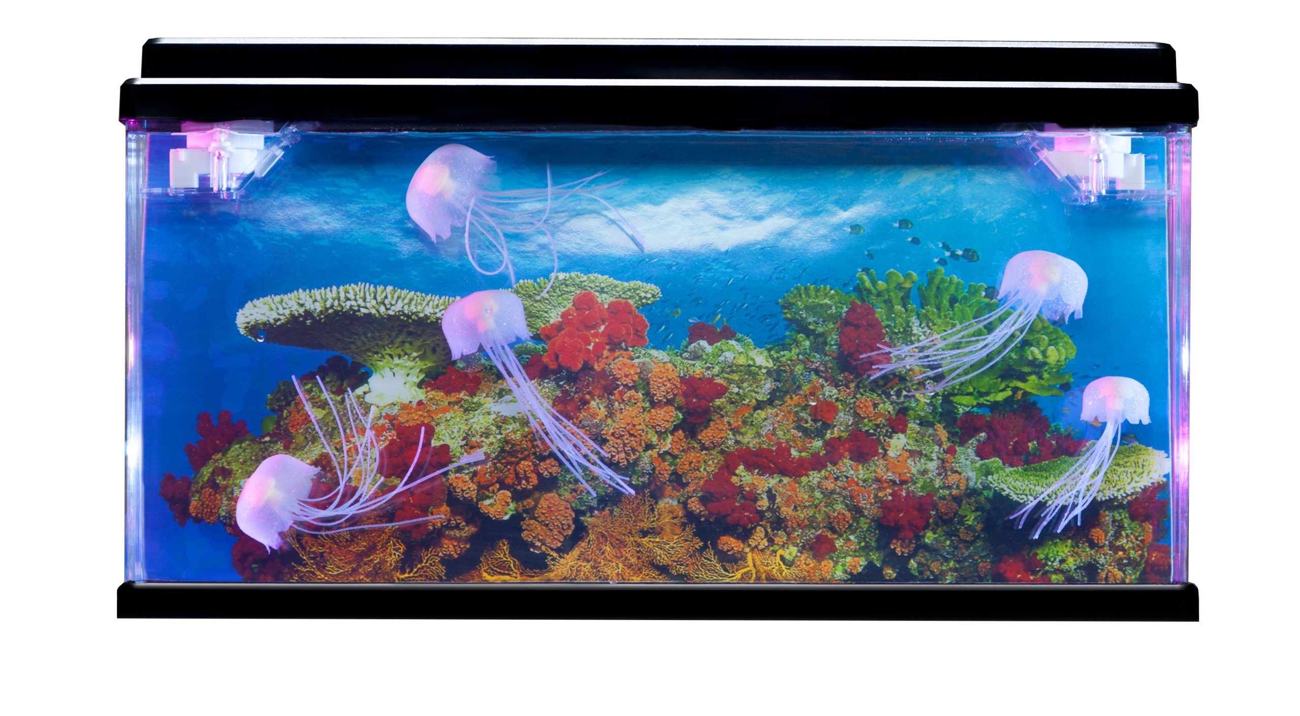 Jelly Fish Tank Large | Sensory Tools