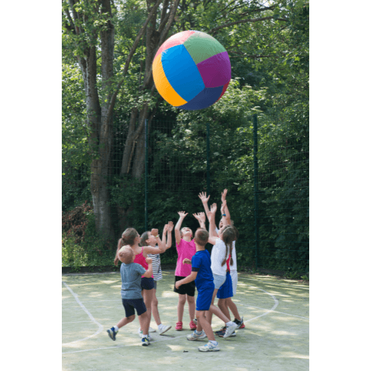 Spordas Colored Cage Ball 100cm | PE Equipment