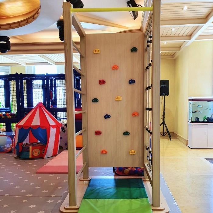 Free Standing Multi Climb Tower | Climbing Sets