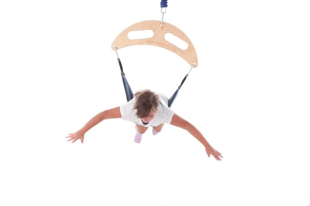 Sensory Therapeutic Frog Swing | Vestibular Activities