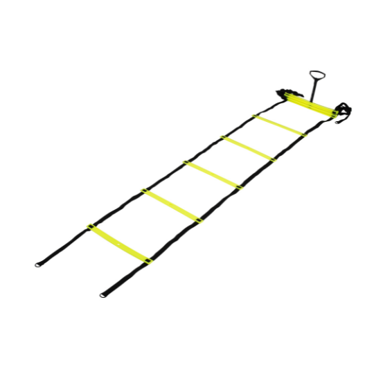 Simple Rhythmic Ladder | PE Equipment