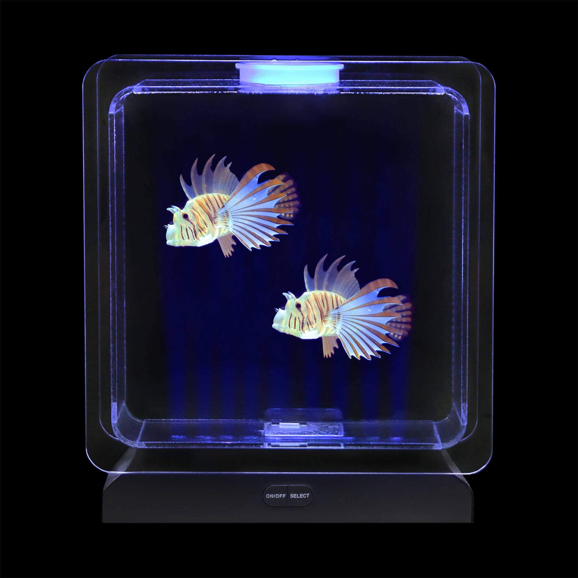 Fish Tank Square – 2 Tropical Fish | Sensory Tools