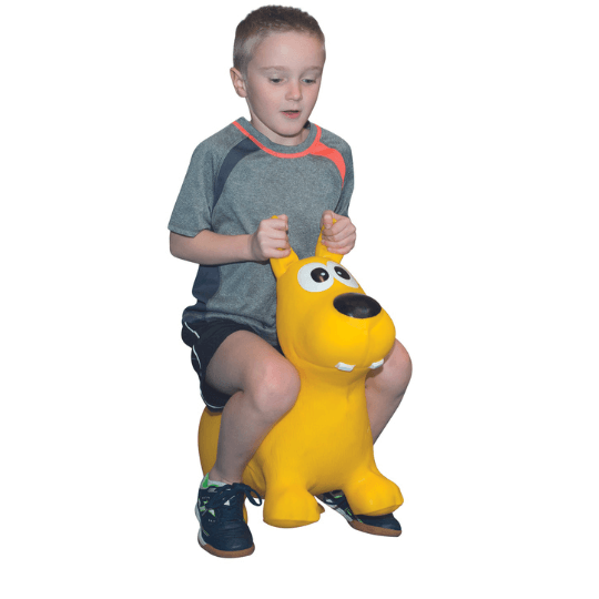 Inflatable Animal Bouncer – lion | Motor Skills