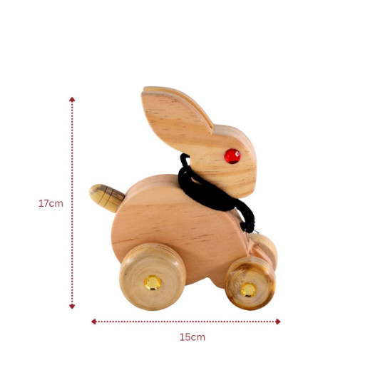 Rabbit pull Toy | Developmental Toys (0-2Years)