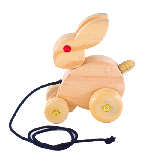 Rabbit pull Toy | Developmental Toys (0-2Years)