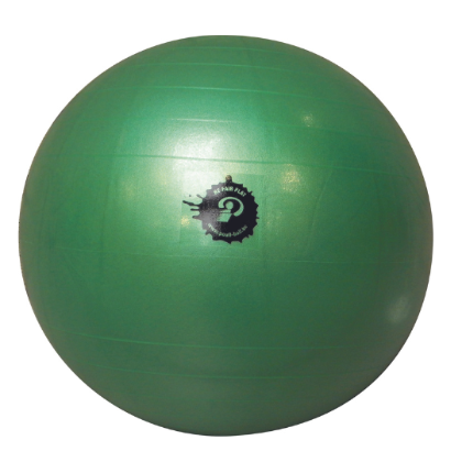 Poull Ball Giant Ball | PE Equipment