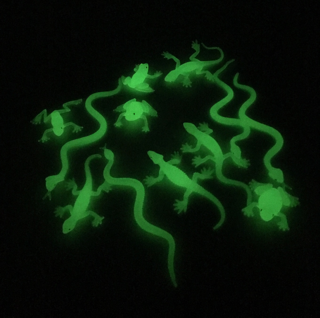 Glow In Dark Reptiles Set | Ultraviolet