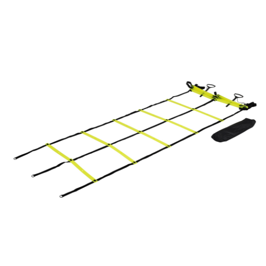 Double Rhythmic Ladder | PE Equipment